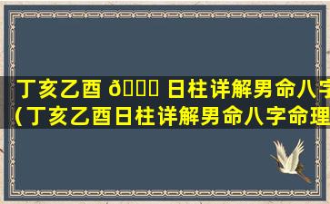 丁亥乙酉 🍁 日柱详解男命八字（丁亥乙酉日柱详解男命八字命理）